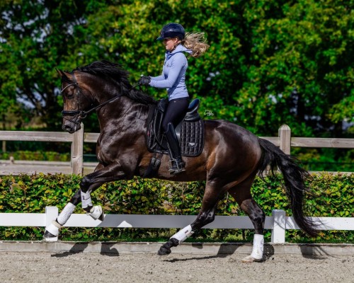 galop shoot